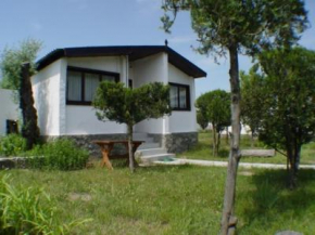 Baza otdykha Dinamo